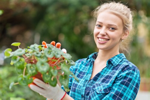 Illustration representing accessible Gardeners East Sheen web content
