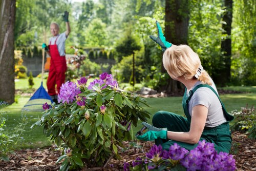 Gardeners East Sheen providing thoughtful local garden care