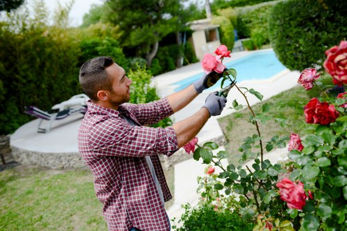 Garden care service in East Sheen for balanced and well-kept outdoor spaces