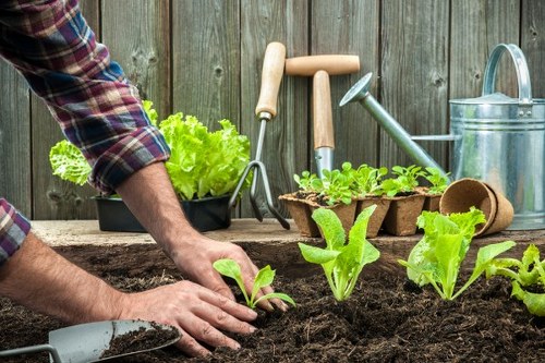 Garden maintenance safety measures for East Sheen gardening work
