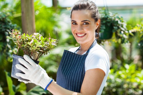 Professional lawn mowing in a leafy East Sheen property