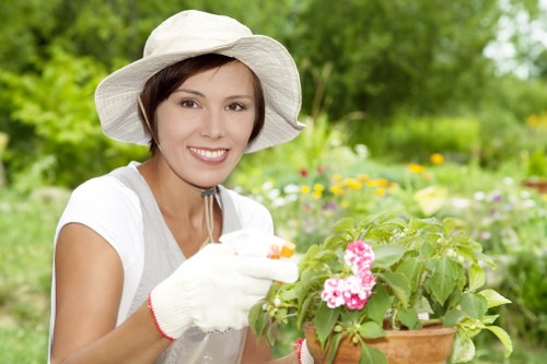Free quote discussion for a garden maintenance service in East Sheen