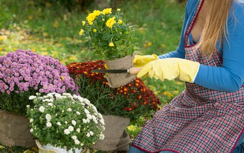 Load-based garden waste pricing example for a property in East Sheen