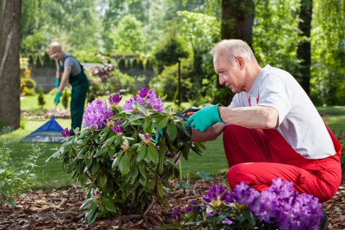 Hard landscaping and planting design for an East Sheen garden