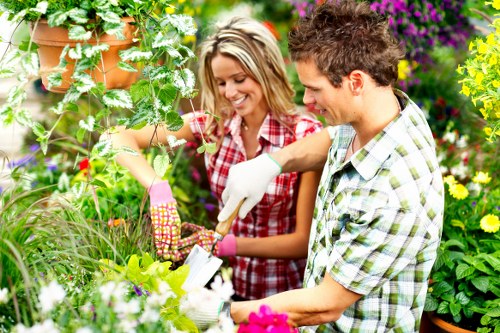 Seasonal hedge maintenance in East Sheen
