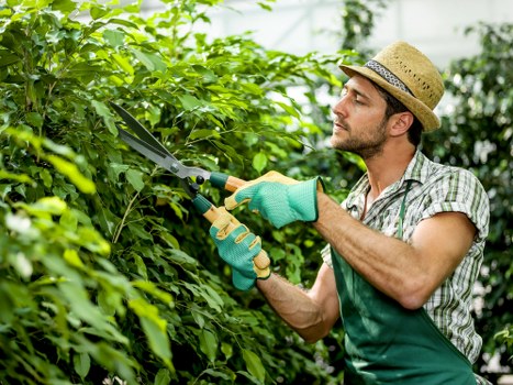 Gardeners East Sheen presenting a clear and fair pricing structure
