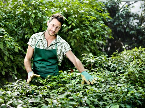 Cubic-yard garden clearance estimate for a larger East Sheen home
