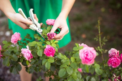 Booking and quotation process for gardeners in East Sheen