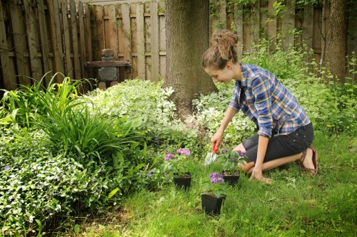 Charity reuse and recycling partnership for garden items in East Sheen