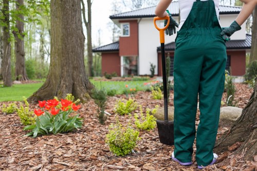 Professional response to a garden maintenance complaint