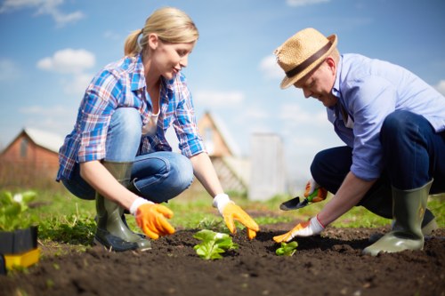 Reviewing a gardening service concern and agreement details