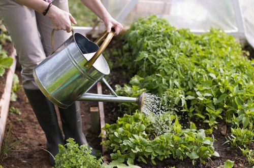 Seasonal garden upkeep in East Sheen with hedge trimming and lawn care