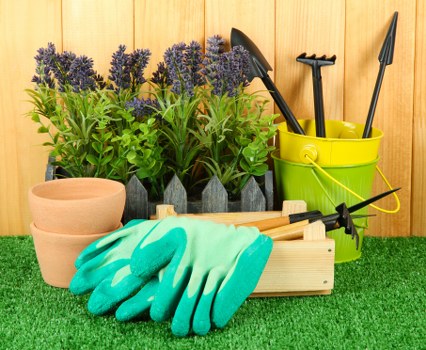 Professional garden upkeep in an East Sheen property